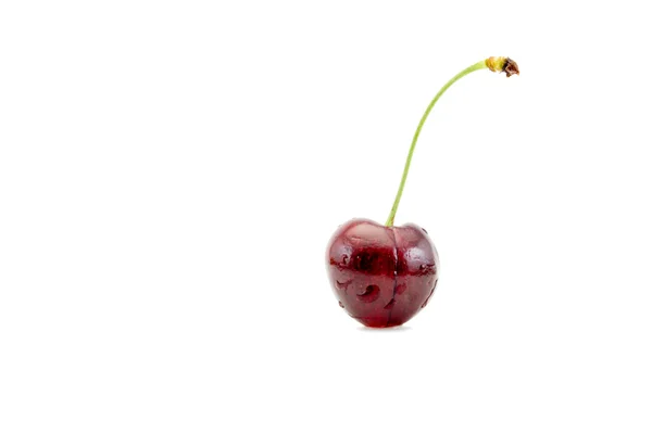 Single cherry geïsoleerd op witte achtergrond — Stockfoto