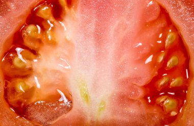 Çekirdek kırmızı taze domates yarım yakın çekim arka planda kesmek