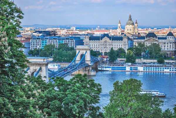 Panorama of the Liberty Bridge and the River Danube in Budapest in Hungary. — Stock Photo, Image