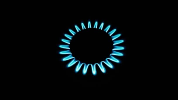 燃烧的煤气炉炉火滚滚 蓝色的火焰在黑暗中在黑色的背景下近视 气是开着的 带着蓝色的火焰 在黑色背景上隔离的煤气炉 — 图库视频影像