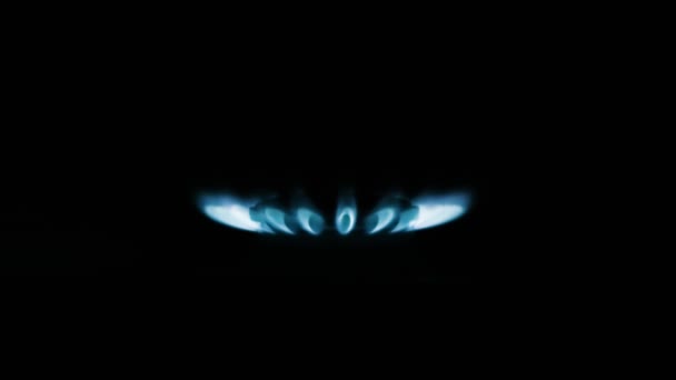 燃烧的煤气炉炉火滚滚 蓝色的火焰在黑暗中在黑色的背景下近视 气是开着的 带着蓝色的火焰 在黑色背景上隔离的煤气炉 — 图库视频影像