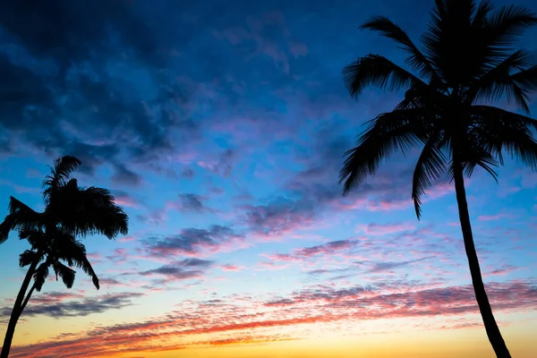 Pôr Sol Praia Com Silhuetas Palmeiras Foto Lados Silhuetas Palmeiras — Fotografia de Stock