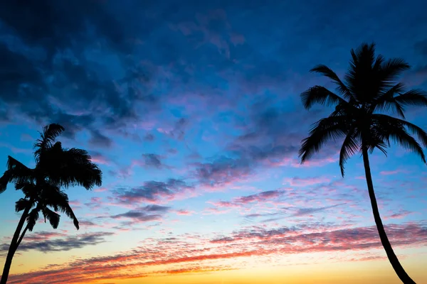 Sunset Beach Silhouettes Palm Trees Sides Photo Silhouettes Palm Trees — Stock Photo, Image
