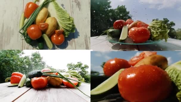 Creativo Video Collage Diverse Verdure Con Gocce Acqua Vassoio Rotolamento — Video Stock