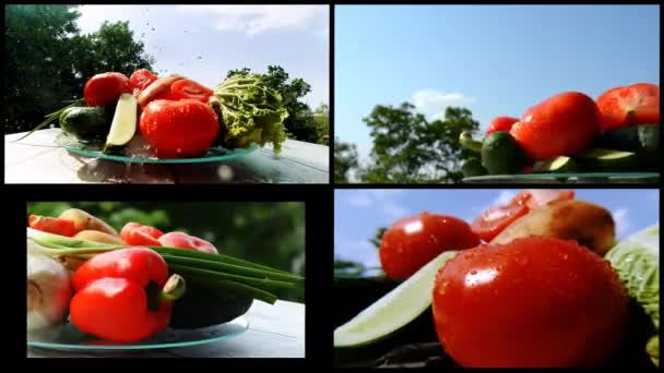 晴れた日には青空と緑の葉を背景に テーブルの上のローリングトレイに水滴と異なる野菜の4K創造的なビデオコラージュ — ストック動画