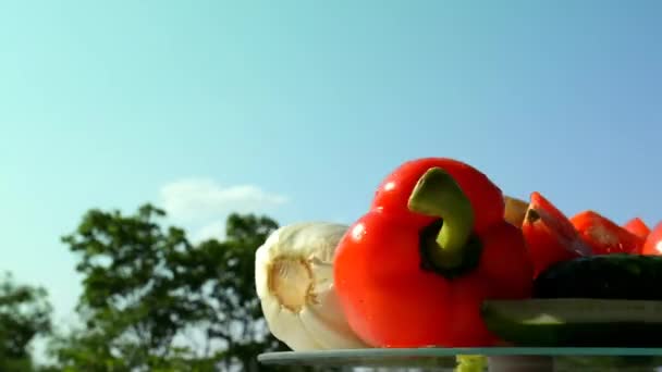 在阳光明媚的日子里 不同的蔬菜和水滴在桌子上的滚动盘子里 面对着蓝天绿叶的自然背景 — 图库视频影像
