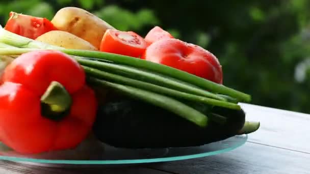 Различные Овощи Капельками Воды Поднос Столе Фоне Природы Зеленой Листвы — стоковое видео