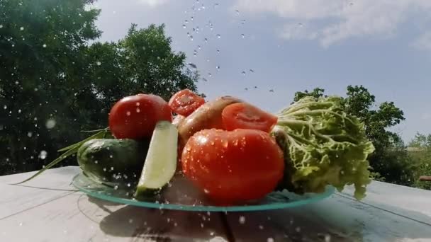 Slow Motion Video Different Vegetables Pouring Water Nature Wooden Table — Stock Video
