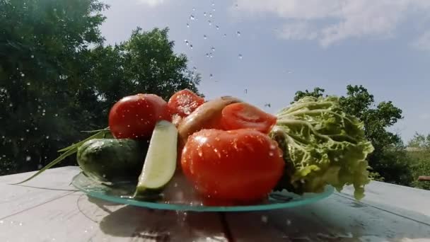 自然の中で木製のテーブルの上に自然の中で水を注ぐと異なる野菜のスローモーションビデオ — ストック動画