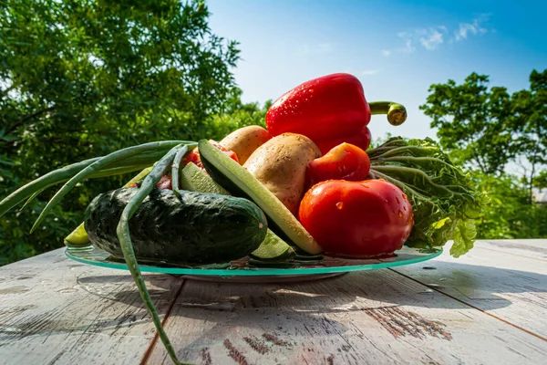 Diferentes Verduras Con Gotas Agua Plato Sobre Una Mesa Madera —  Fotos de Stock