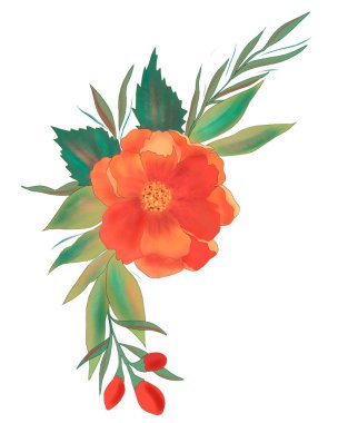 Yaprak ve böğürtlenli gül çiçeği, beyaz arka planda meyveler. çiçek bileşimi