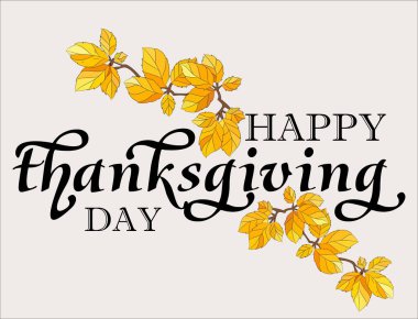 Elle çizilmiş Şükran Günü harfleri tipografi posteri. Kartpostal, simge, logo ya da rozet için dokulu arka planda Şükran Günü kutlu olsun..