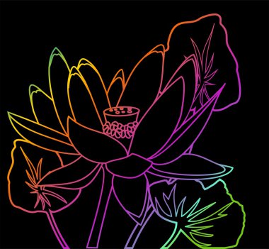 Rainbow loop lotus on a black background