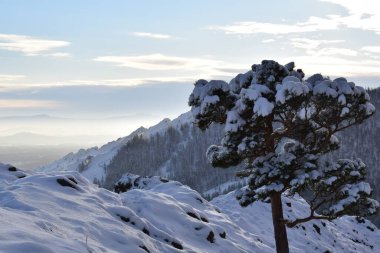 Kış manzarası. Ural dağları. Nurali tepesi.