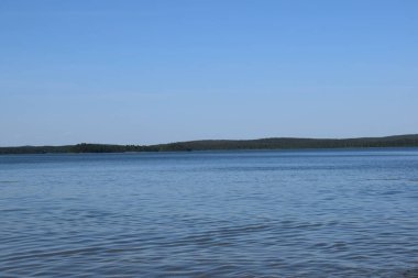 Ormanda yaz. Forest Gölü. Chelyabinsk bölgesi. Turgoyak Gölü