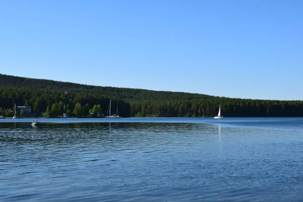 Nyár Erdőben Forest Lake Ben Cseljabinszk Régió Turgojak — Stock Fotó