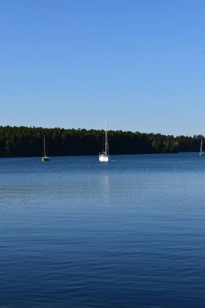 Sommer Wald Waldsee Tscheljabinsk Turgojak See — Stockfoto