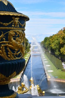 Peterhof 'un güzel manzarası. Sonbahar sezonu. Şehrin cazibesi St. Petersburg 'da.