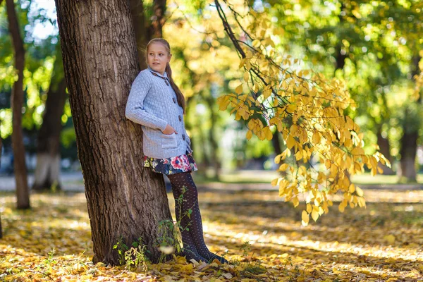 Dziewczyna w lesie — Zdjęcie stockowe