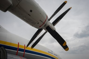 An-22 Antei