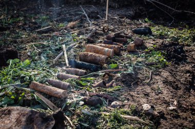 Turba alanları başarıyor