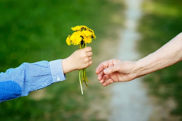 O neto dá às flores de avó — Fotografia de Stock