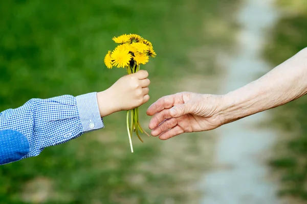 Sonson ger med mormor blommor — Stockfoto