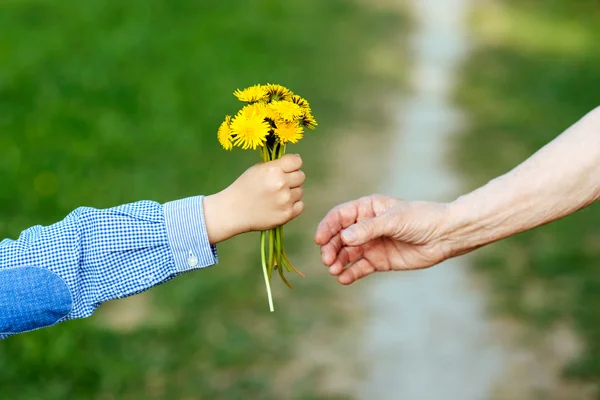 The grandson gives to the grandmother flowers — Stock Photo, Image