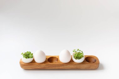 Beyaz arka planda, tahta yumurta kutusunda beyaz yumurta içinde yeşil lahanalar. Seçici odak, uzayı kopyala. Eko konsepti. Paskalya Asgari Konsepti.