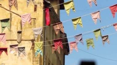 Küçük kiraz kuşu