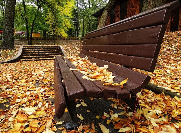 Sonbahar Park arka plan üzerinde renkli yaprakları ile tek ahşap Bank.