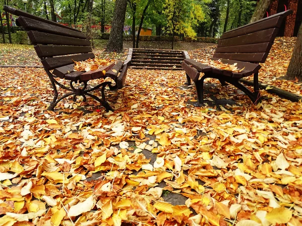 Sonbahar Park arka plan üzerinde renkli yaprakları ile iki yalnız ahşap banklar.