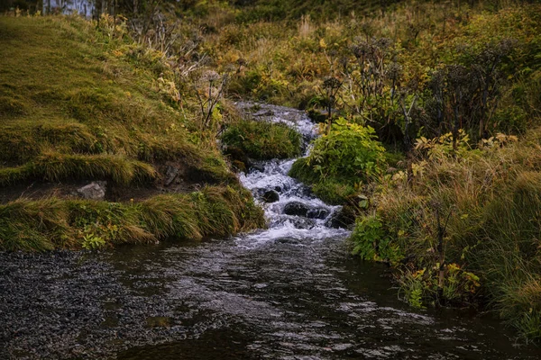 İzlanda manzara vadisindeki tarla