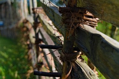 Çiftçilikte kullanılan ortaçağ söğüt çiti. Yakın plan..