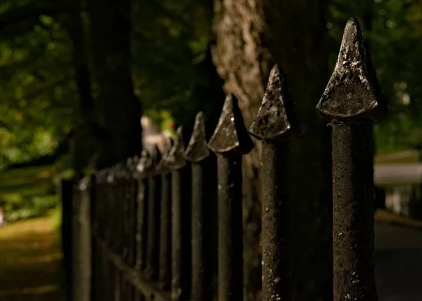 Classic Old Spiked Cast Iron Fence Park Shallow Field View — Stock Photo, Image