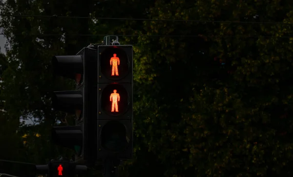 城市人行横道上的信号灯显示一个红色男子 指示停车和等待 是的高质量的照片 — 图库照片