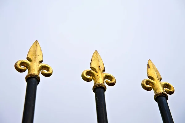 Klassischer Und Reich Verzierter Sicherheitszaun Mit Goldenen Stacheln Hochwertiges Foto — Stockfoto