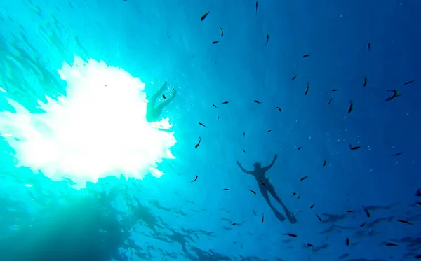 Silueta Nadadores Superficie Mar Azul Profundo Con Pequeños Peces Nadando —  Fotos de Stock