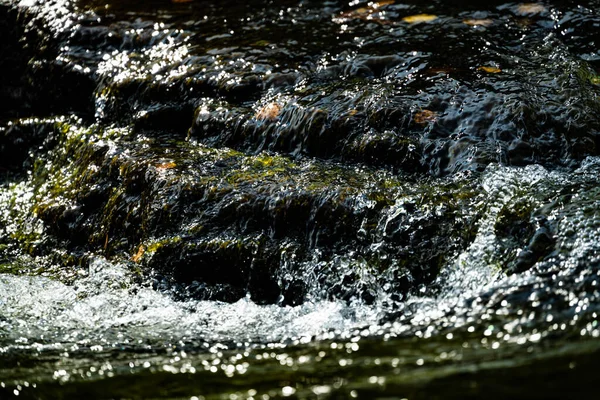 Primo Piano Acqua Pulita Limpida Che Scorre Sulle Rocce Ruscello — Foto Stock