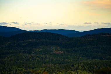Elektrik hatları dağ vadisinin ormanlarını kesiyor. - Evet. Yüksek kalite fotoğraf