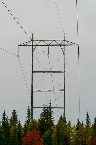 Lignes Électriques Pylône Traversant Forêt Photo Haute Qualité — Photo