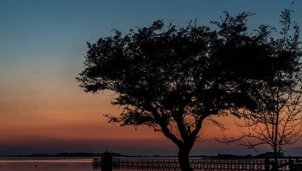 Силуэт Дерева Закате Пляже Деревянным Пирсом Океаном Заднем Плане Высокое — стоковое фото