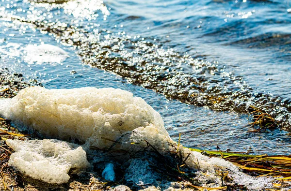 Sea Foam Forming Beach Strong Sticky Spume Substance Made Organic — Foto Stock