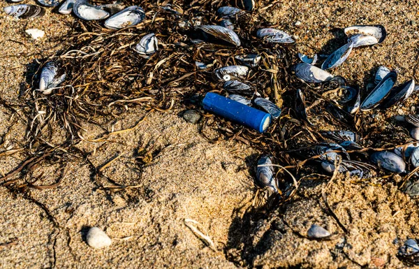 Old Used Shotgun Shell Hunter Floating Beach Mussel Shells Seaweed — Fotografia de Stock