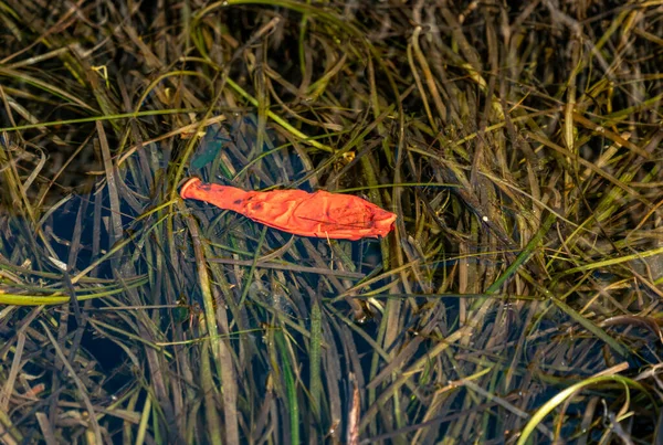 Alter Orangefarbener Ballon Der Zwischen Algen Meer Schwimmt Und Ökologische — Stockfoto