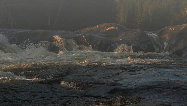 Wild River Rapids Forest Morning Fog Sunrise Blurred Background High — Stock Photo, Image