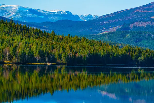 Lac Calme Entouré Forêts Pins Verts Sauvages Chaînes Montagnes Enneigées — Photo