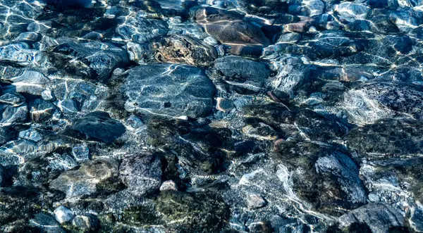 Krystalklart Issmeltende Vand Løber Glatte Klipper Småsten Vild Skovflod Tæt - Stock-foto