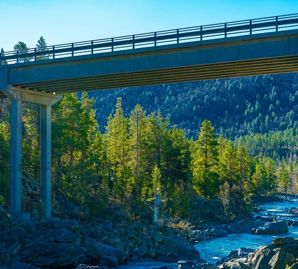 Modern Highway Bridge Crossing Wild River Valley Pine Forest High — Stock Photo, Image