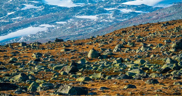 Altopiano Alta Montagna Disseminato Grandi Massi Dell Ultima Era Glaciale — Foto Stock